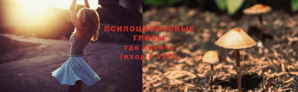 стафф Абаза