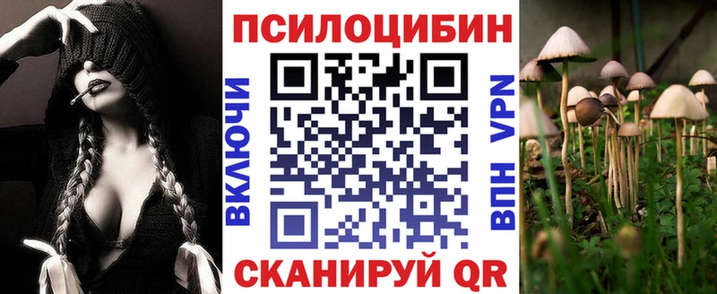 Псилоцибиновые грибы GOLDEN TEACHER  где купить   Новотроицк 